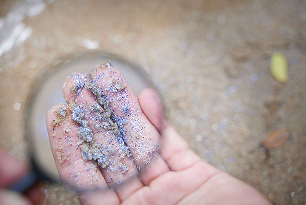 Determination of microplastic content in seafood