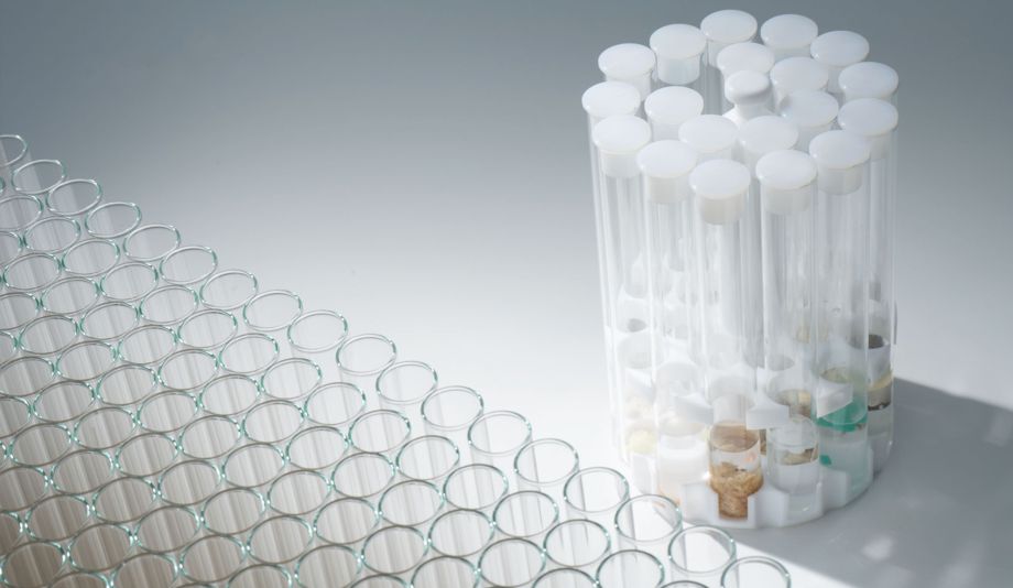 Rack and vials